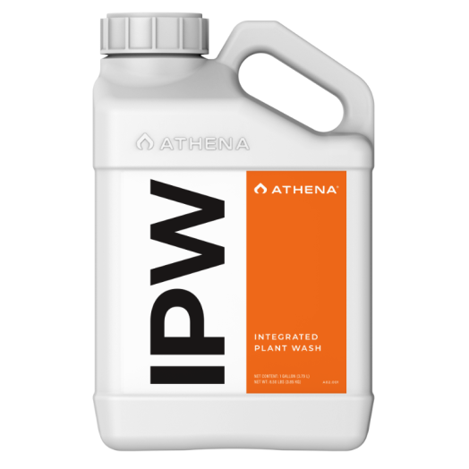 Athena IPW