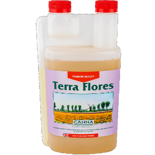 Canna Terra Flores
