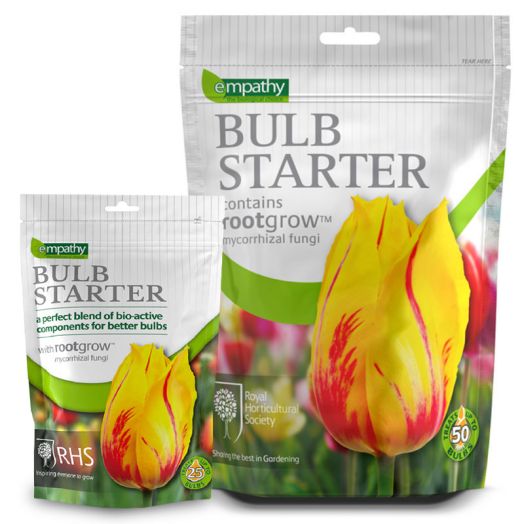 Empathy Bulb Starter