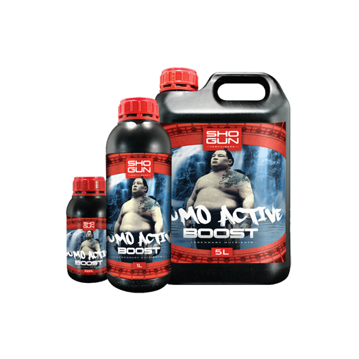 Shogun Sumo Active Boost