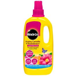 Miracle-Gro Slow Release Azalea Camellia & Rhododendron Plant Food 1Kg Jar 
