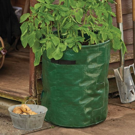 Grow it Potato Planter Bags - Twin Pack