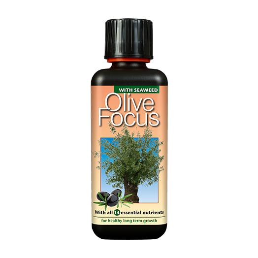 Growth Technology Olive Focus 500ml