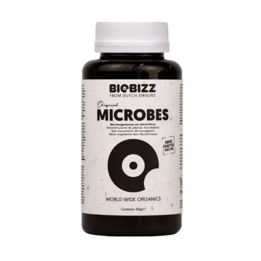Biobizz Microbes
