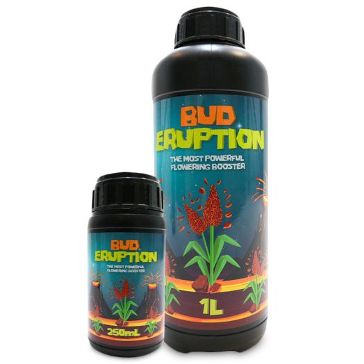 Bud Eruption - Flower Enhancer