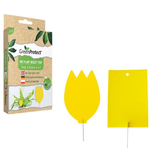 Green Protect Pot Plant Insect Trap - 10 pack
