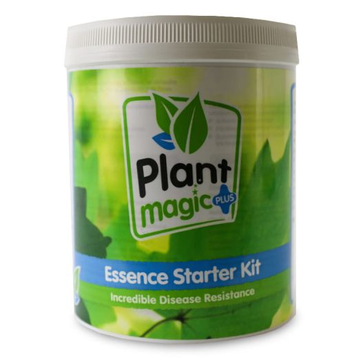 Plant Magic Essence Starter Kit