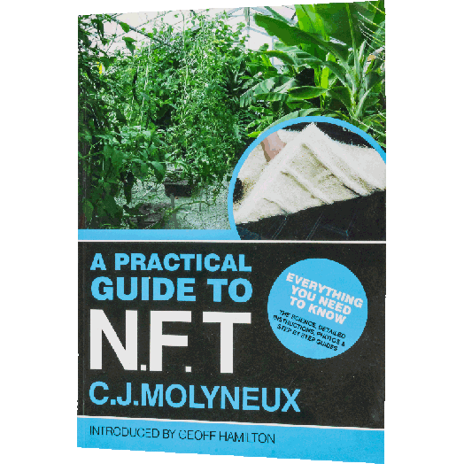 Practical Guide To NFT