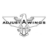 Adjust-a-Wing image