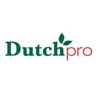 Dutch Pro image