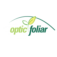 Optic Foliar image