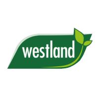 Westland image
