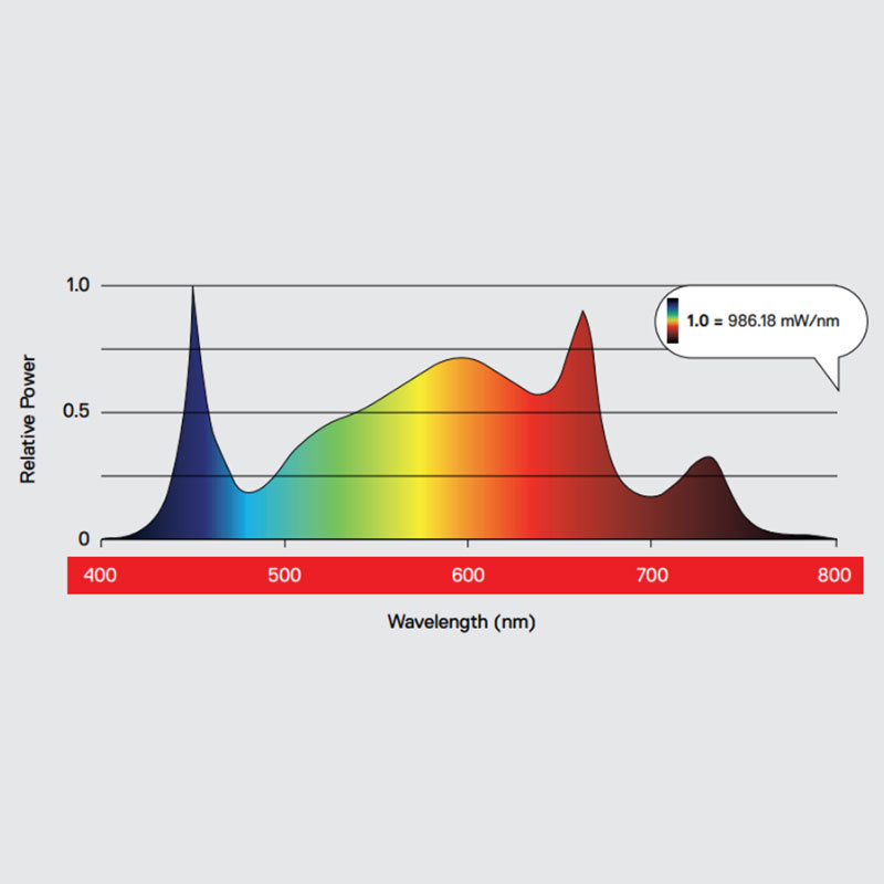 Maxibright Daylight 200W Pro Spectral Graph
