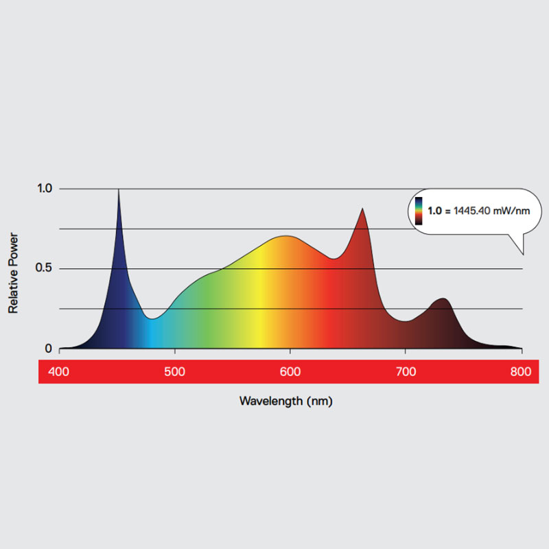 Maxibright Daylight Pro Spectral Graph